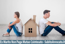 ex marito non paga mutuo cointestato