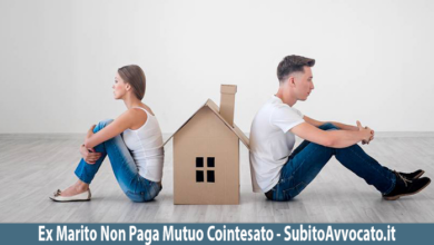 ex marito non paga mutuo cointestato